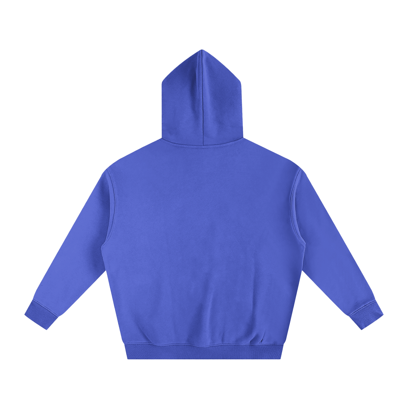 Jesus is the Reason Hoodie