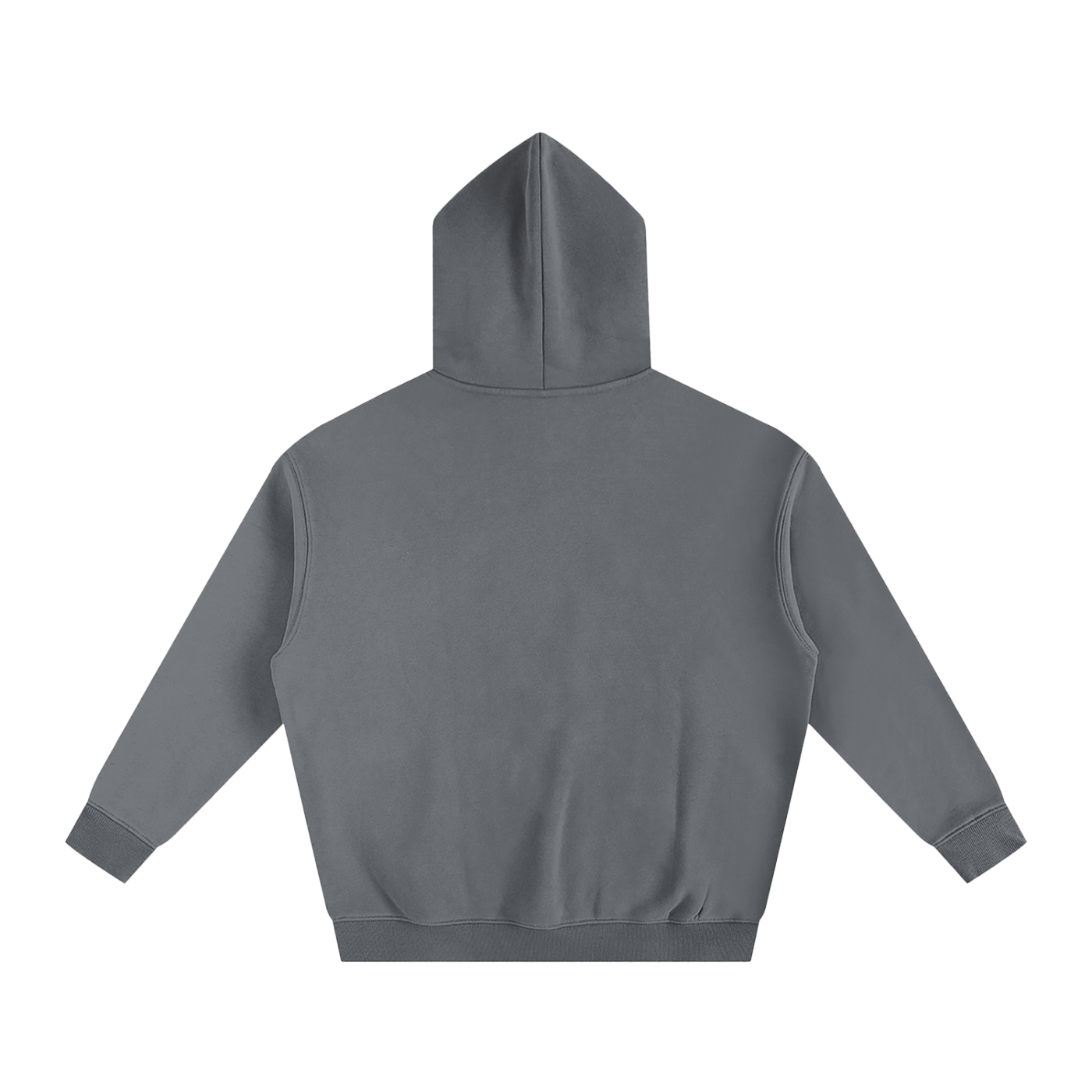Jesus is the Reason Hoodie